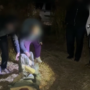 Супруги обвиняются в убийстве знакомой в Тульской области